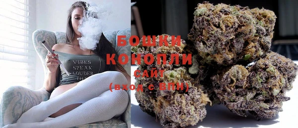 PSILOCYBIN Алзамай