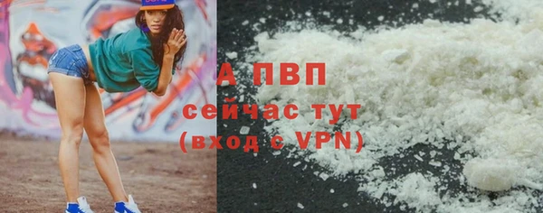 прущие грибы Няндома
