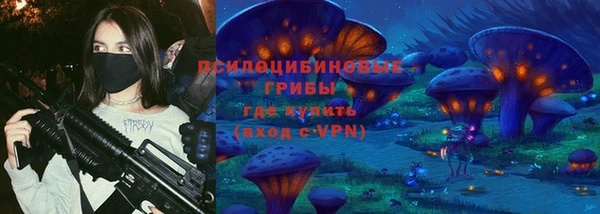PSILOCYBIN Алзамай