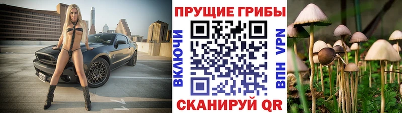 MEGA ТОР  Таштагол  Галлюциногенные грибы Psilocybine cubensis 